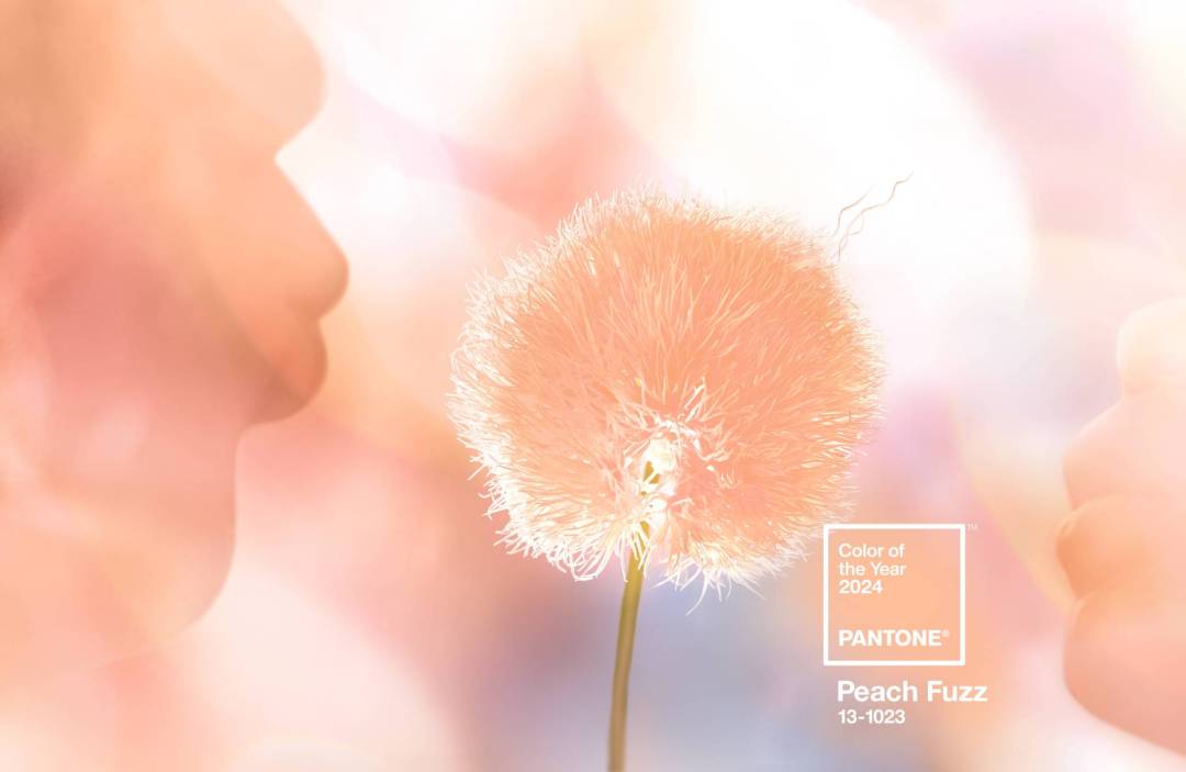 Pantone Colour of the Year 2024: Peach Fuzz blog