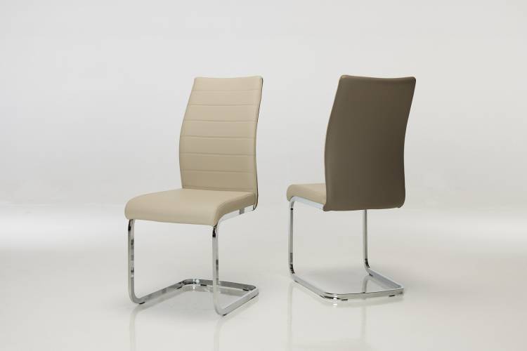 Two-Tone Colour Cantilever Dining Chairs